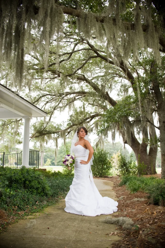 Bride beneath a canopy of trees with Spanish moss